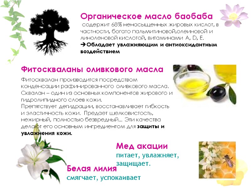 Фитоскваланы оливкового масла Фитосквалан производится посредством конденсации рафинированного оливкового масла.  Сквалан – один
